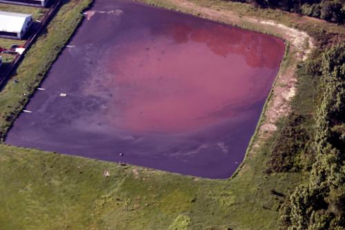 A lagoon mus be able to hold 180 days of hog waste for every hog on site. Over time, sludge buildup consumes storage capacity.  Sludge removal is required under these circumstances.  Removal of sludge is an expense of the grower. Most cannot afford it. 