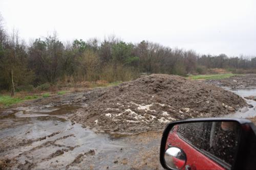 Sampling revealed extremely high levels of arsenic, bacteria and nutrients